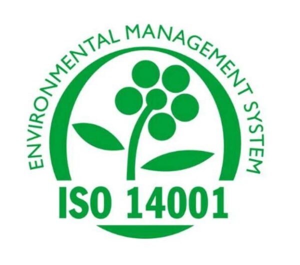 Green ISO 14001 certified environmental management system logo with plant and leaves design