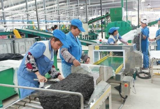 An Asian Chinese worker in a blue uniform carefully inspecting rubber sheets on a production line in a modern factory.