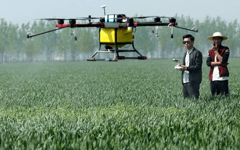 A faceless view of an agricultural drone spraying a fine mist of liquid fertilizer over a large green field in China.